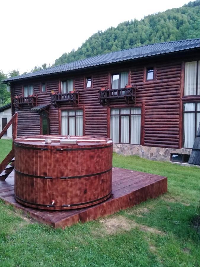 Pensiunea Roxana Valea Viseului Экстерьер фото