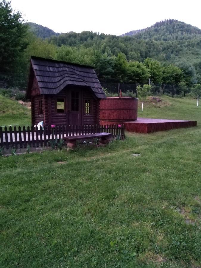 Pensiunea Roxana Valea Viseului Экстерьер фото