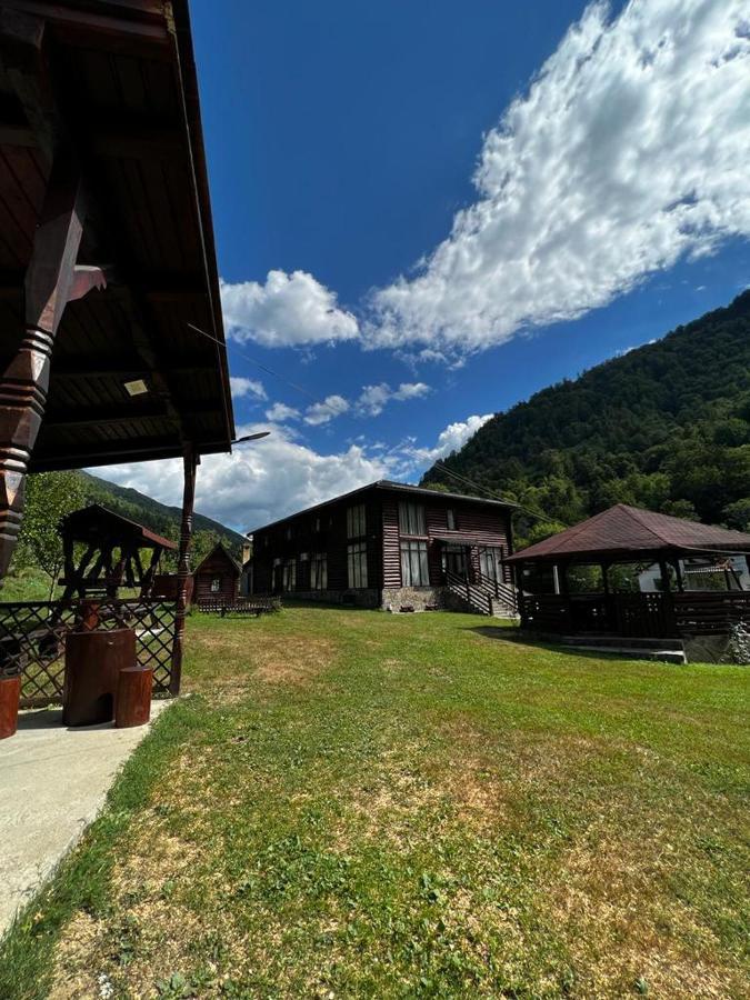 Pensiunea Roxana Valea Viseului Экстерьер фото